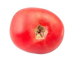 tomate rosa natural aislado en blanco foto