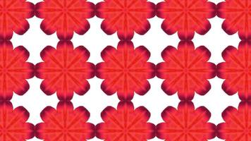 kreatives Muster des roten Kaleidoskops der digitalen Wiedergabe video