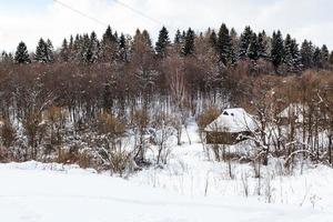 casas rurales al borde del bosque en invierno foto