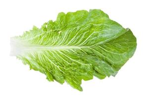 hoja verde de lechuga romana aislada en blanco foto