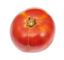 ripe organic red tomato isolated on white photo