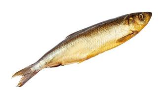cold-smoked atlantic herring isolated on white photo