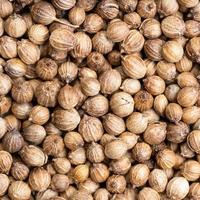 dried coriander seeds close up photo