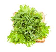 open sandwich with toast and fresh greens photo