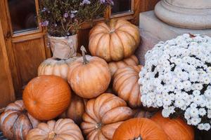 Autumn decoration with pumpkins and flowers on a street in a European city photo