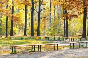 garden benches in urban park in autumn photo