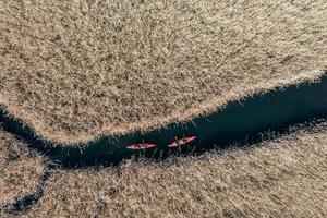 Group of people in kayaks among reeds on the autumn river. photo