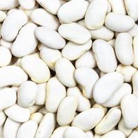 uncooked white beans close up photo