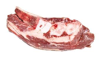 top view of raw piece of beef brisket isolated photo