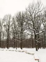 snow covered benches on glade of urban park photo