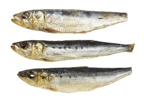 three smoked pacific pilchard fishes isolated photo