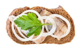 top view of sandwich with herring, onion, parsley photo