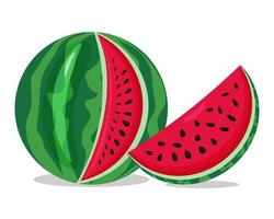 watermelon, slice of watermelon. watermelon day. national watermelon day. yellow watermelon on white background vector