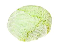 cabbagehead of fresh savoy cabbage isolated photo