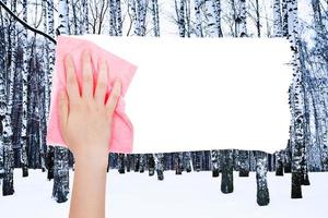 hand deletes winter birch trees by pink rag photo