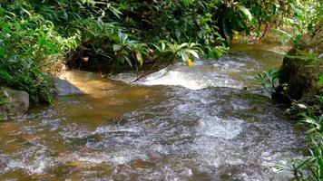 Zeitlupenaufnahmen eines fließenden Wasserstroms in einem tropischen Regenwald in Thailand. video