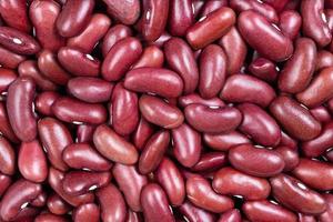 background - raw red kidney beans photo