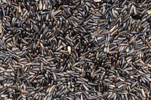 background - many whole-grain niger seeds photo