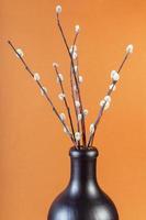 flowering pussy-willow twigs in ceramic bottle photo