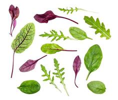 fresh leaves of various leafy vegetables isolated photo