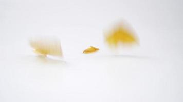 falling pieces of golden cannabis wax video