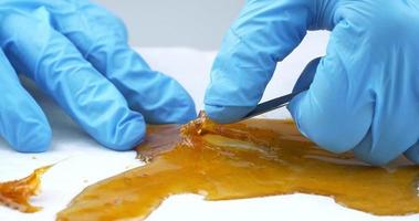 sticky cannabis dab, resin amber with high thc video