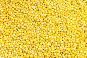 background - uncooked polished proso millet grains photo