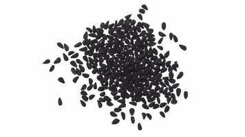 Black Cumin Nigella Sativa seeds video