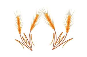 concepto de diseño de ilustración de vector de trigo dorado