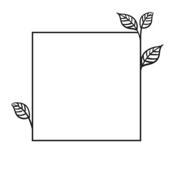 Square botanical frame element with leaves. Simple contour vector illustration.