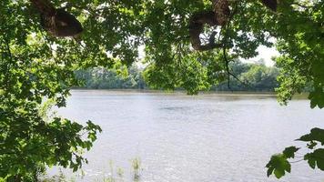 Beautiful landscape at a lake with a reflective water surface video