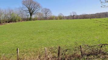 Side view of agricultural fields and meadows passing by. video