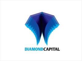 Diamond Jewelry Capital Logo vector