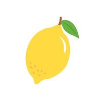 Cute lemon with leaves in a hand-drawn style. vector