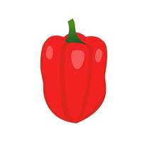 ilustración de un pimiento dulce sobre un fondo blanco en un estilo sencillo vector