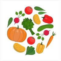 Round composition of vegetables on a white background. vector