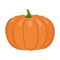 Juicy pumpkin on a white background in a cartoon style. vector