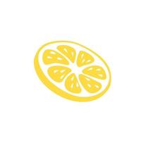 Lemon slice with leaves in a hand-drawn style. vector