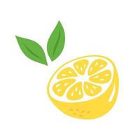 Half a lemon with leaves in a hand-drawn style. vector