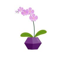 Lilac orchid in a geometric pot. vector