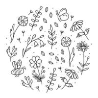 Floral pattern in the shape of a circle vector