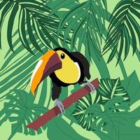 pájaro tucán en una rama en el bosque tropical con monstera vector