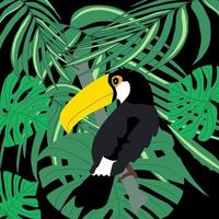 Toucan bird on the branc in tropical forest with monstera, palm tree leaves vector