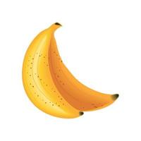 realistic fruit banana vector