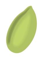 green nut icon vector