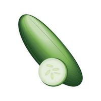 realistic vegetable cucumber vector