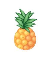 realistic fruit pineapple vector