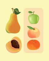 frutas realistas, colección de iconos vector