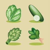 icon collection, realistic vegetables vector