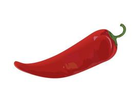 chili pepper vegetable vector